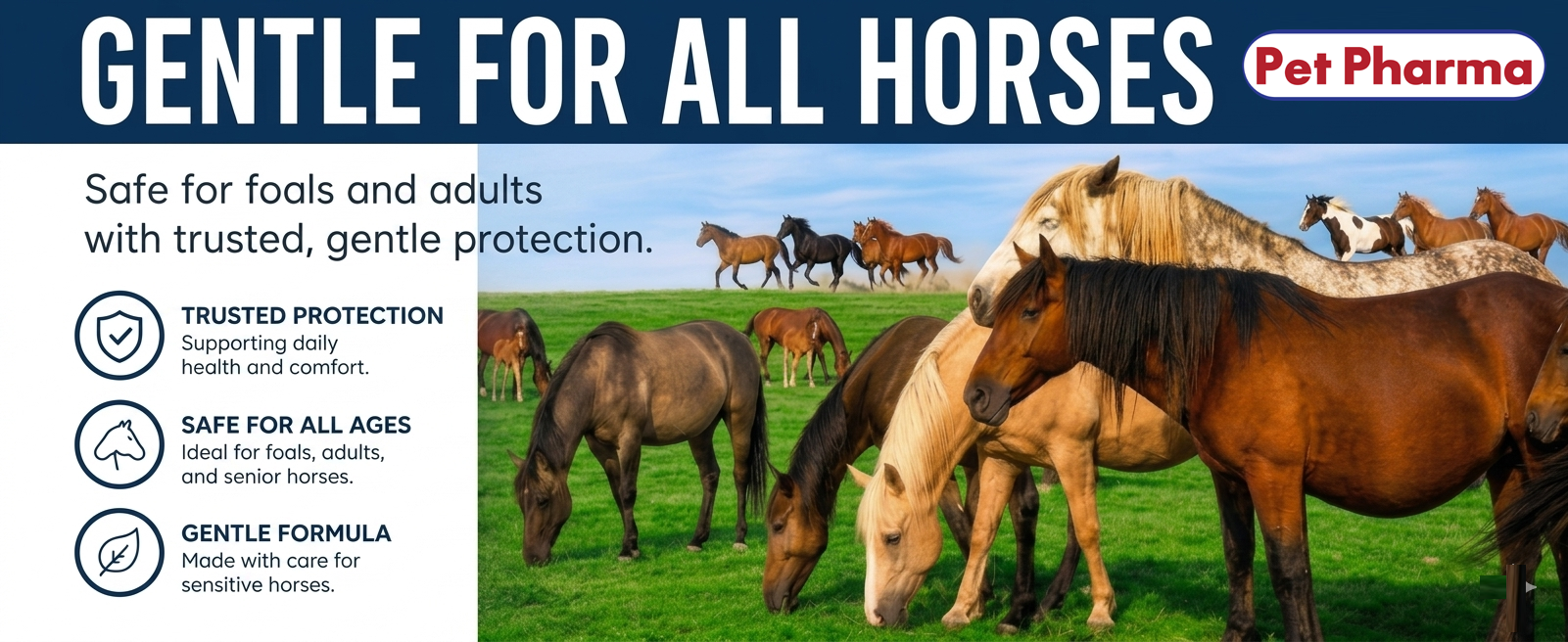 Gentle for all horses — safe across life stages