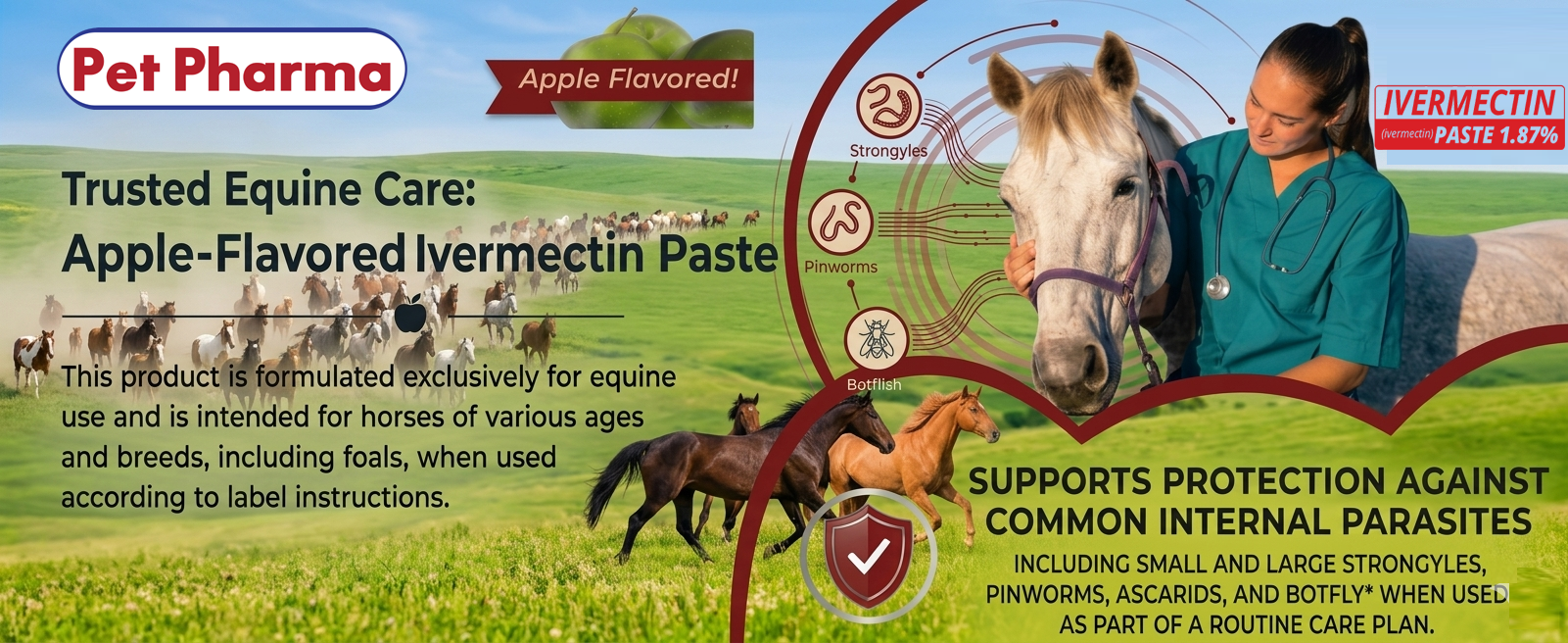 Trusted equine care — GMP-certified quality